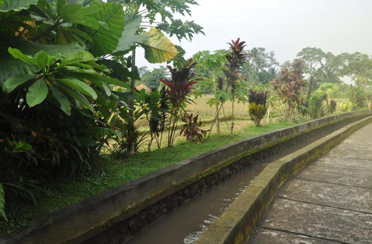 Candra Asri Bungalow Ubud Kültér fotó