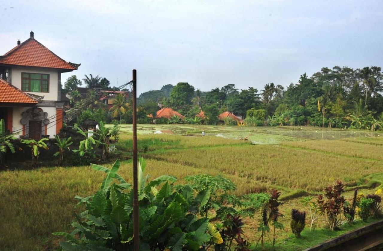 Candra Asri Bungalow Ubud Kültér fotó
